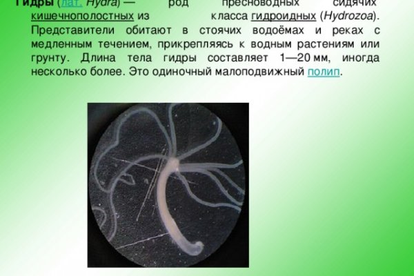 Кракен онион ссылка на тор