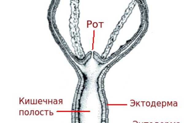 Ссылка на кракен в браузере