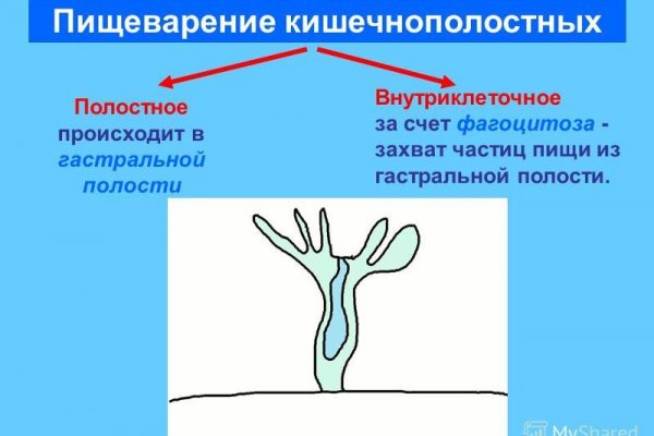 Mega market ссылка