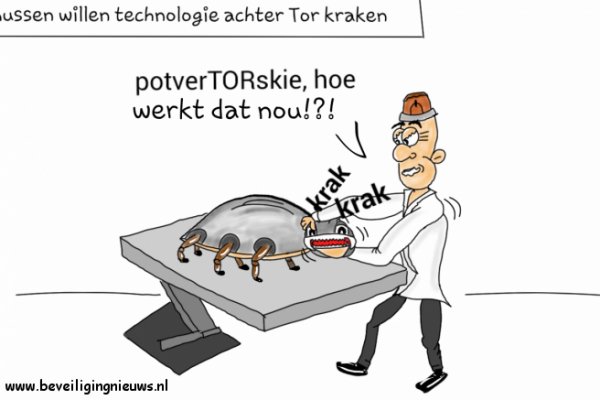 Кракен шеринг